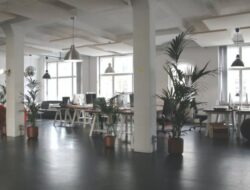 How to Decorate Your Office with Plants A Guide to Enhancing Your Workspace