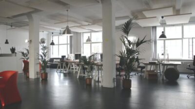 How to Decorate Your Office with Plants A Guide to Enhancing Your Workspace